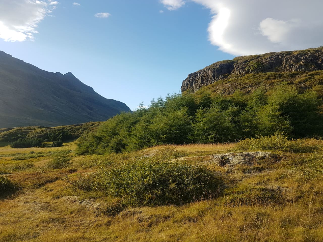 Haukafell Campground Photo